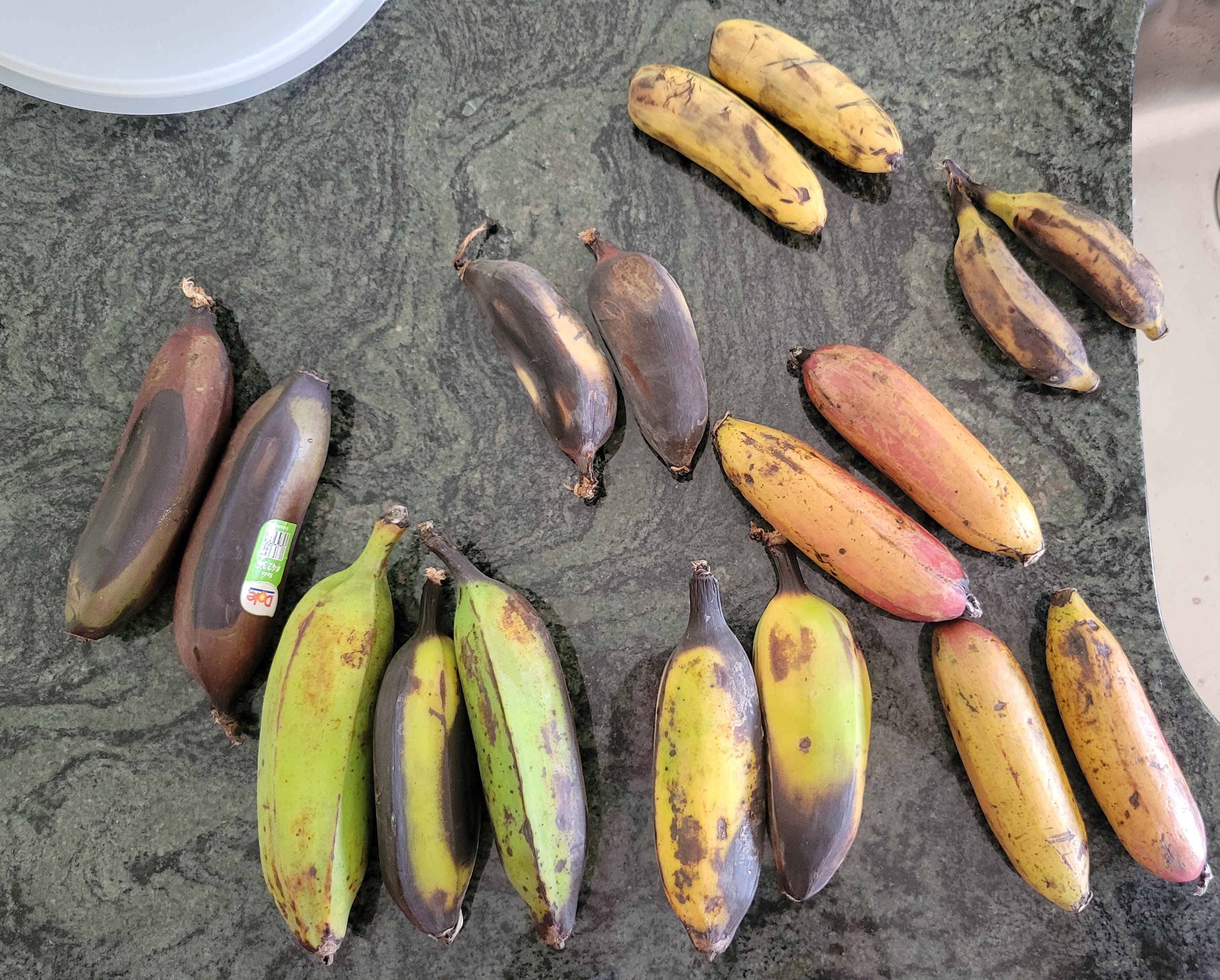 Featured image of post Going Bananas